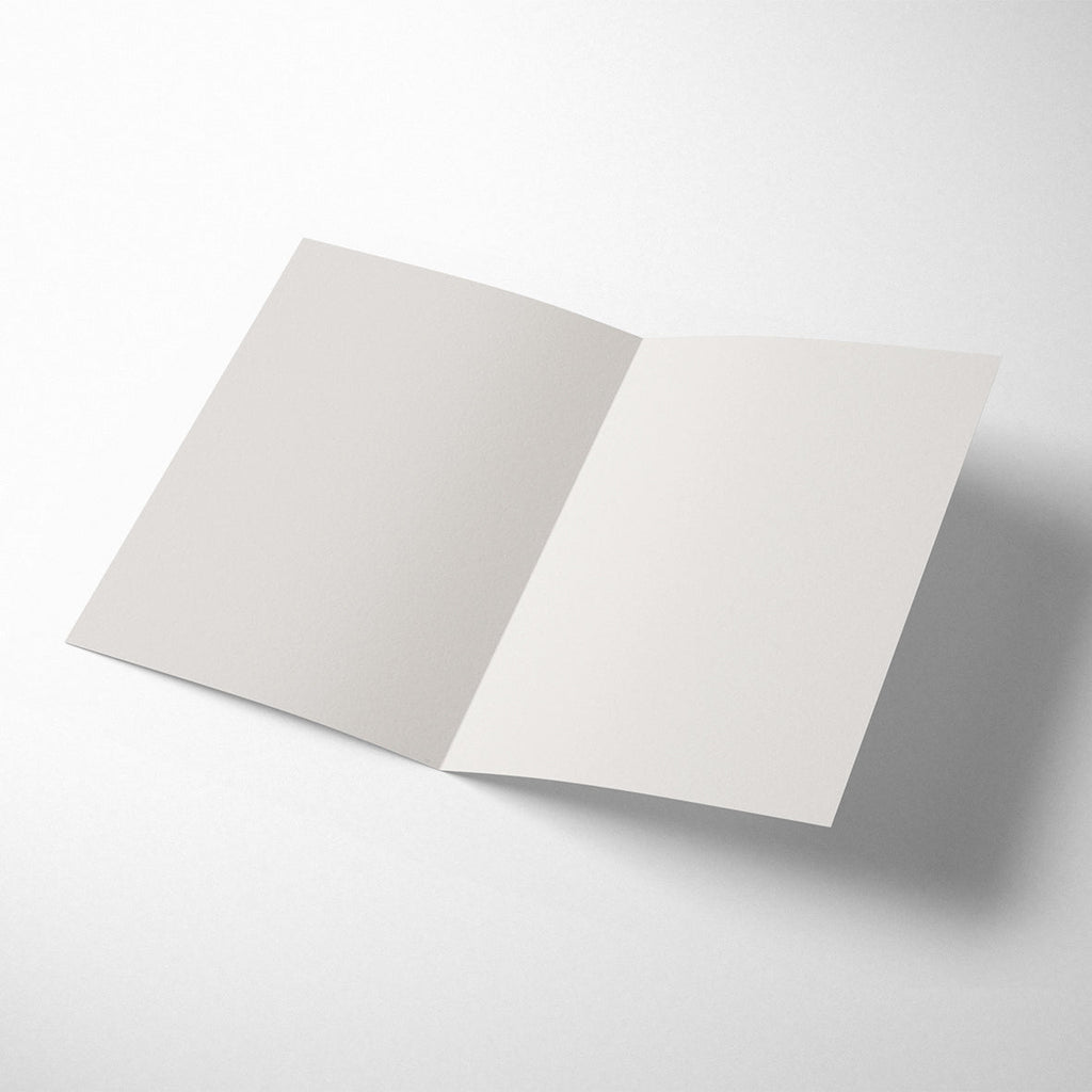 SERIF: MISTER & MISTER