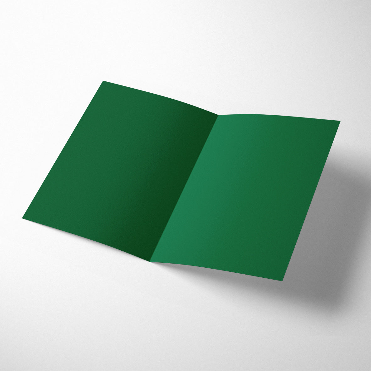 HAVE YOURSELF A MERRY LITTLE CHRISTMAS