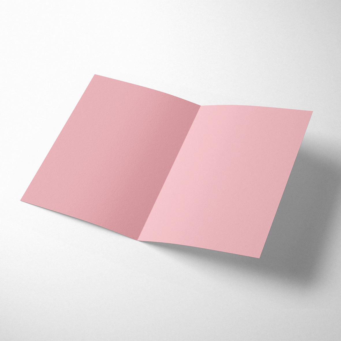 JOYFUL MISS CHRISTMAS