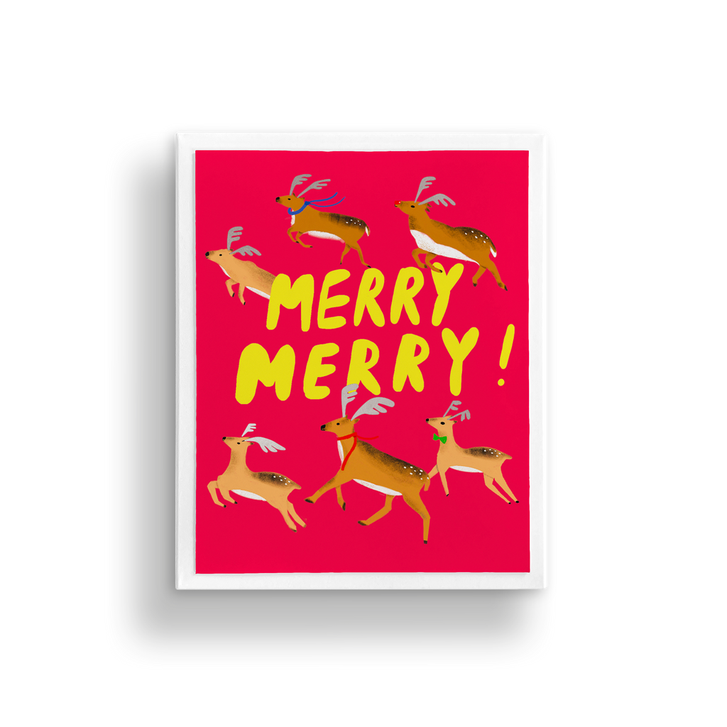 TEAM RUDOLPH BOX SET