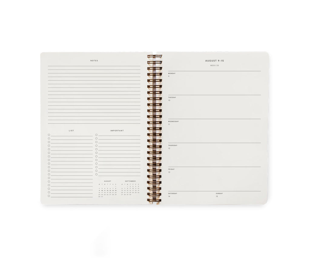 2027 CLOWNY THE CAT SPIRAL DIARY