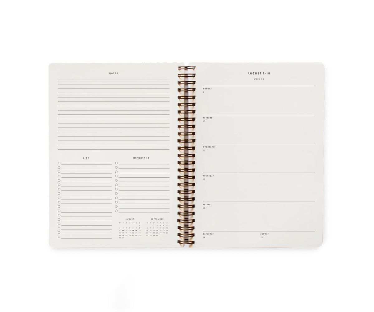 2027 CLOWNY THE CAT SPIRAL DIARY