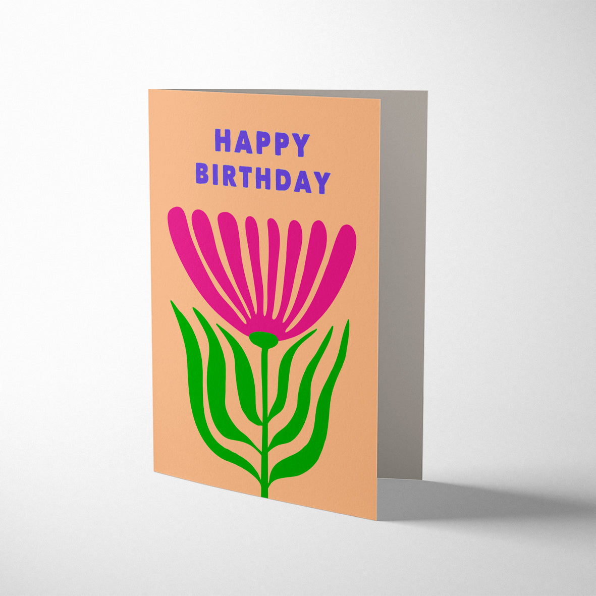 BARBERTON DAISY BIRTHDAY