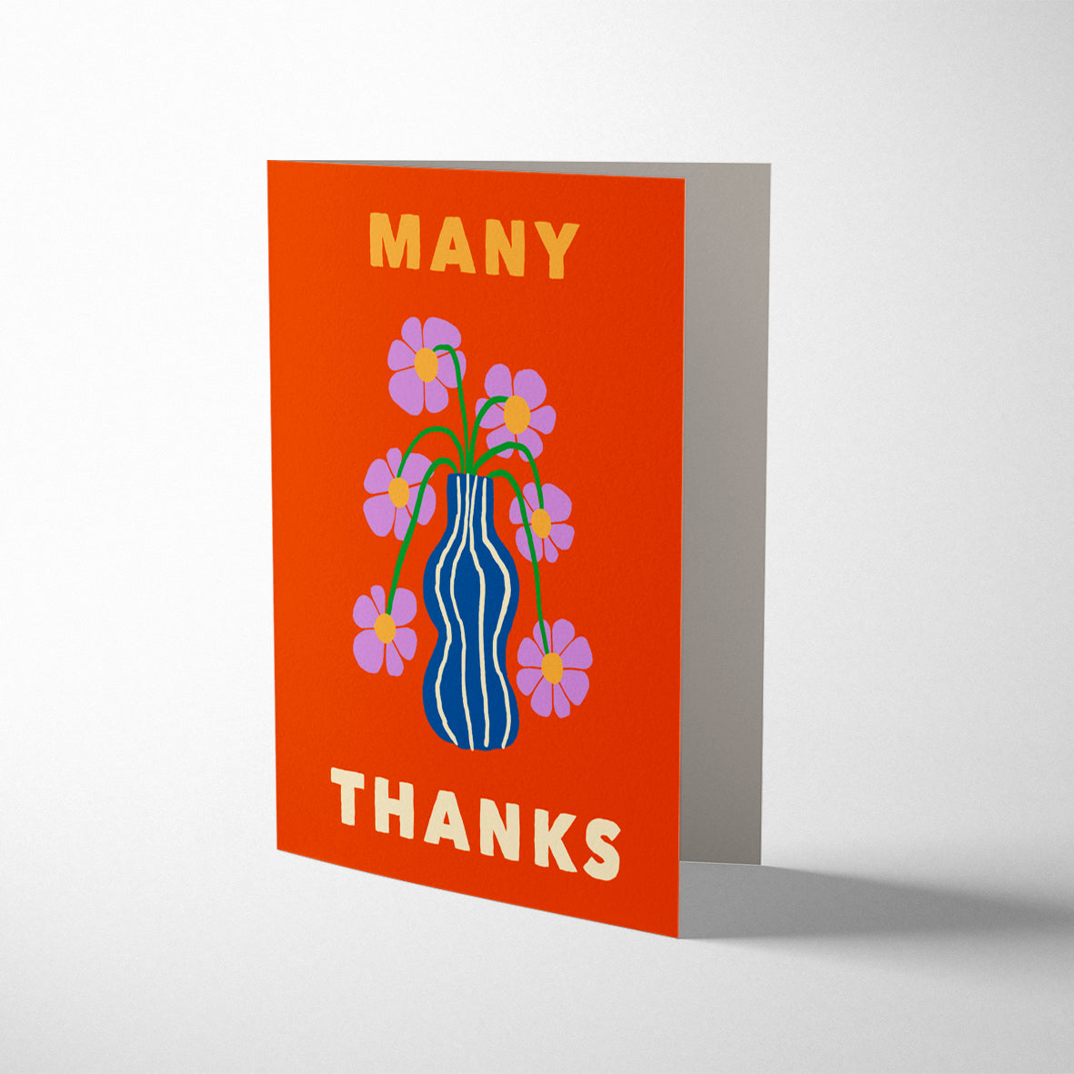 AFRICAN DAISY MANY THANKS