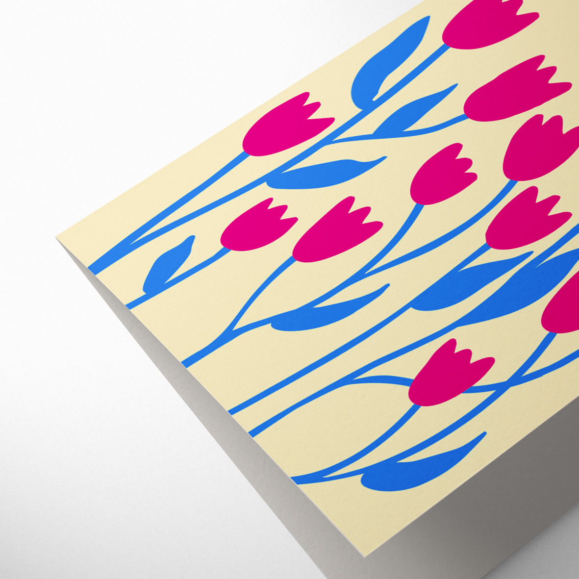 PINK TULIPS CONGRATULATIONS