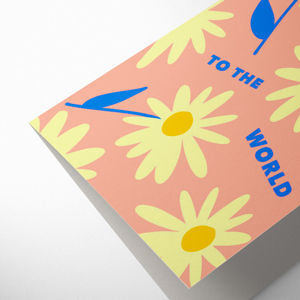 DAISIES WELCOME TO THE WORLD