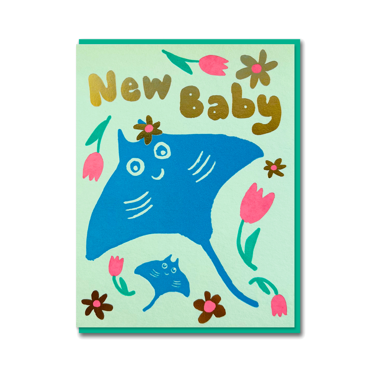 NEW BABY MANTA RAY