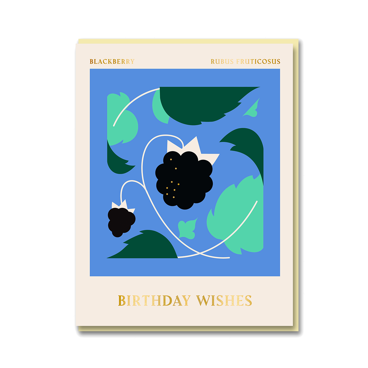 SPITALFIELDS MARKET: BLACKBERRY BIRTHDAY WISHES