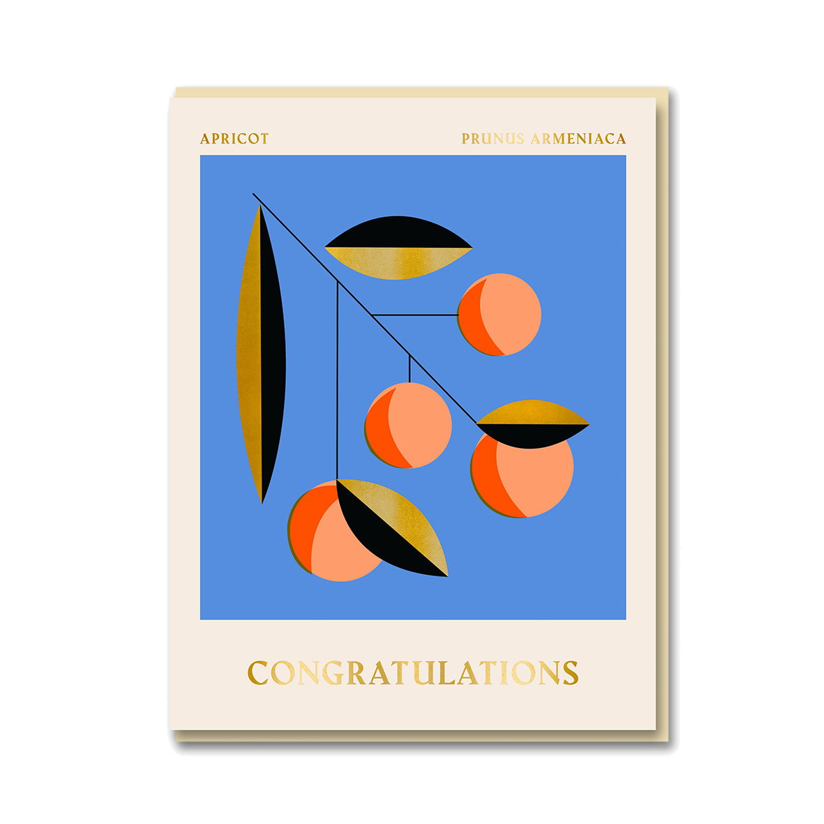 SPITALFIELDS MARKET: APRICOT CONGRATULATIONS