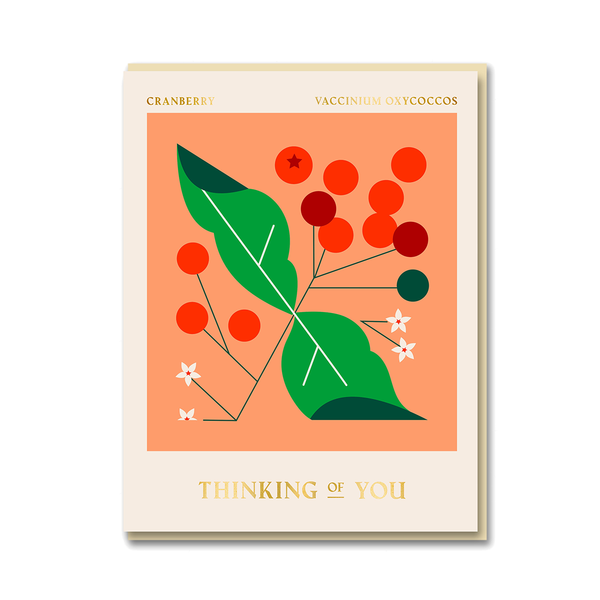 SPITALFIELDS MARKET: CRANBERRY THINKING OF YOU
