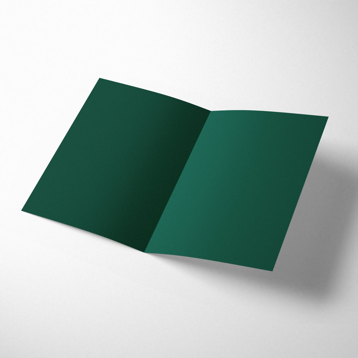 FRENCH TWIST: OH LÀ LÀ