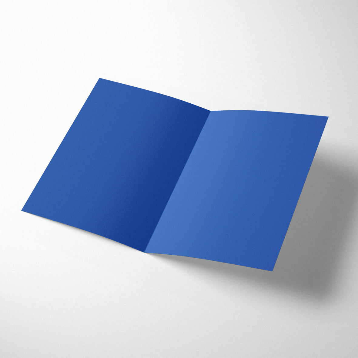 FRENCH TWIST: MERCI BEAUCOUP