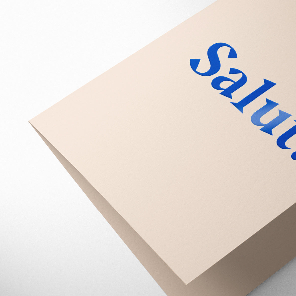FRENCH TWIST: SALUT