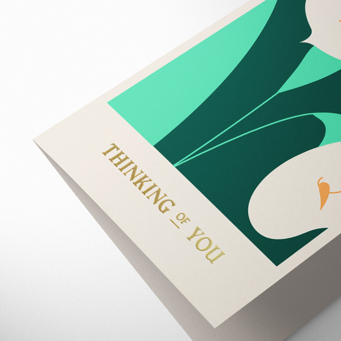 COLUMBIA ROAD: CALLA LILY THINKING OF YOU