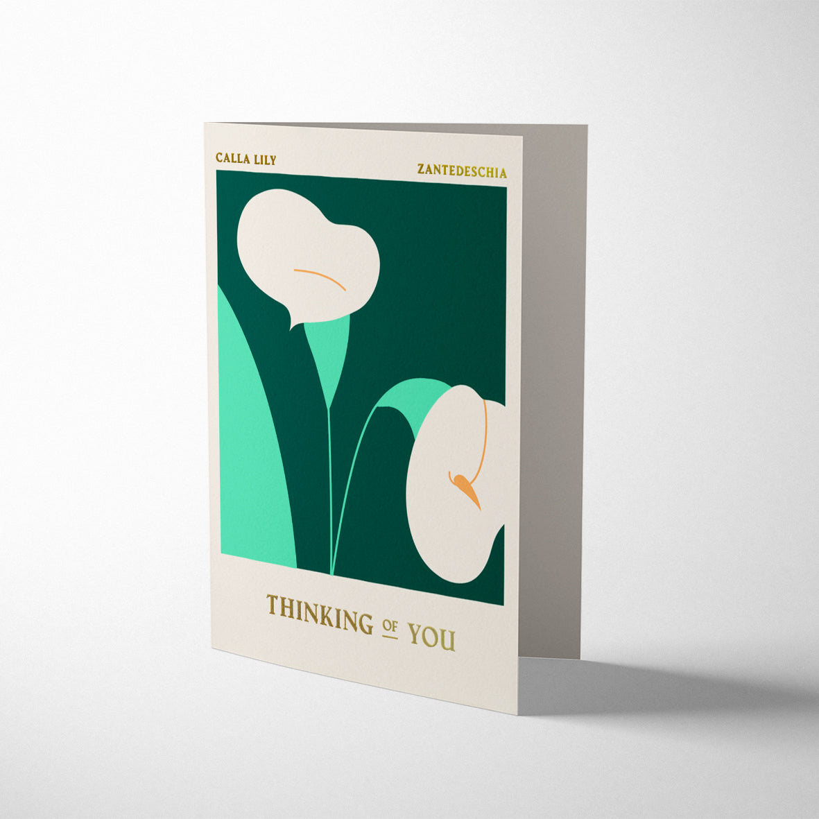 COLUMBIA ROAD: CALLA LILY THINKING OF YOU