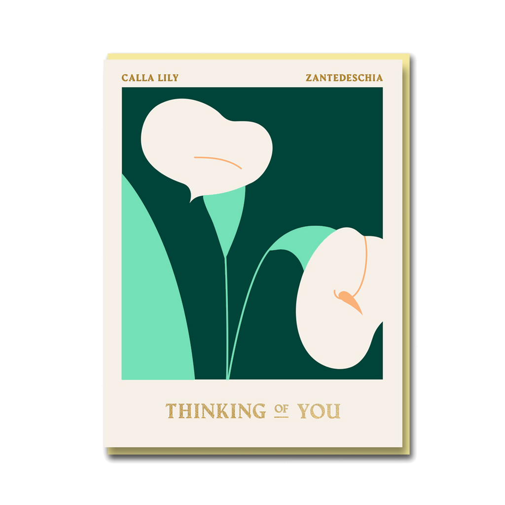 COLUMBIA ROAD: CALLA LILY THINKING OF YOU