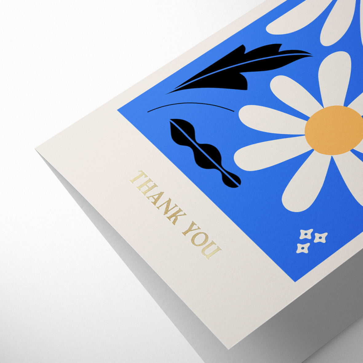 COLUMBIA ROAD: DAISY THANK YOU