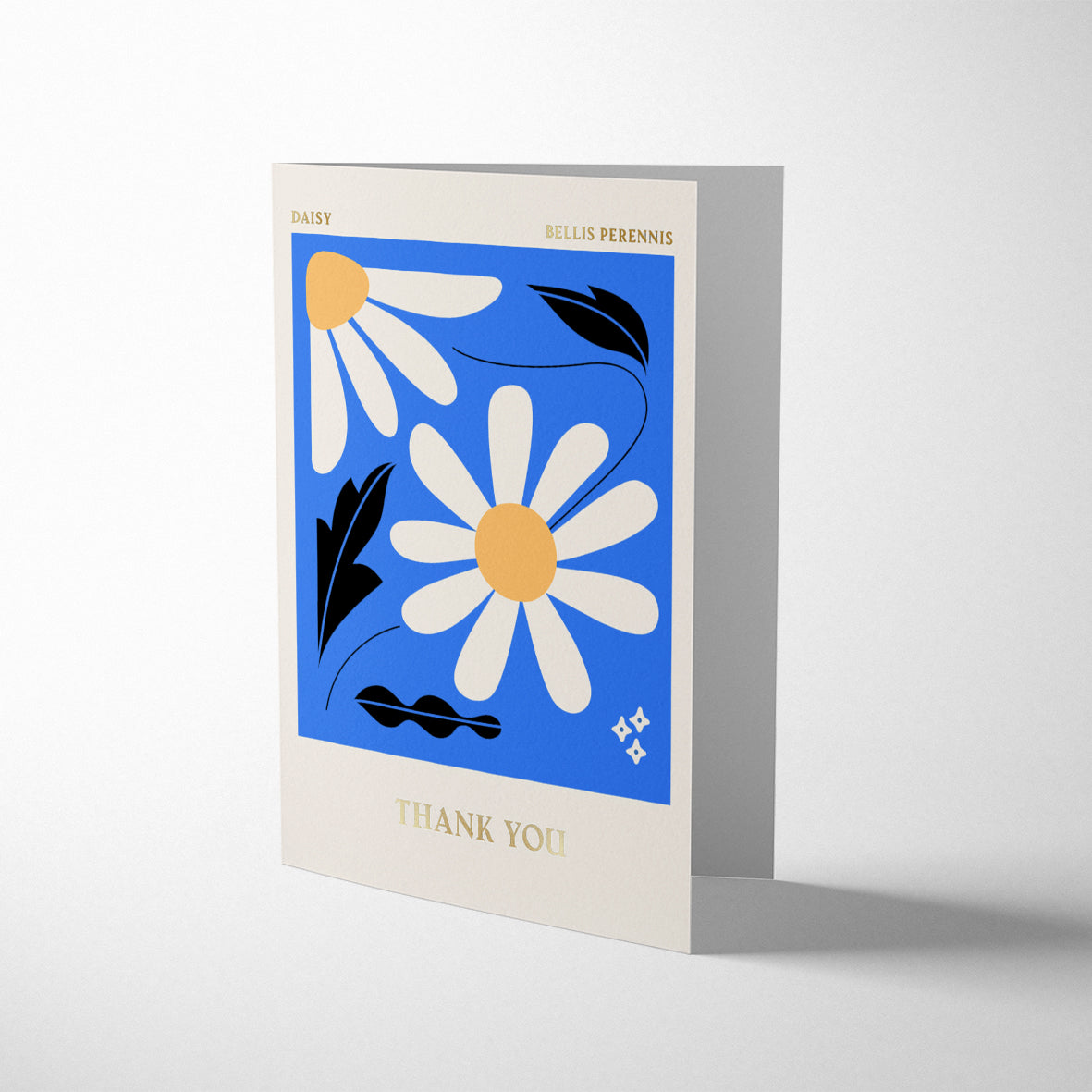 COLUMBIA ROAD: DAISY THANK YOU