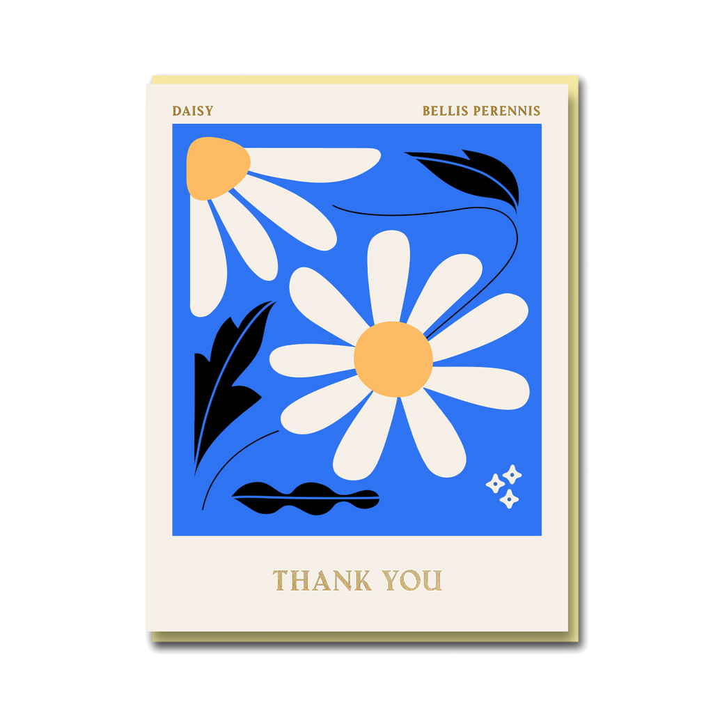 COLUMBIA ROAD: DAISY THANK YOU
