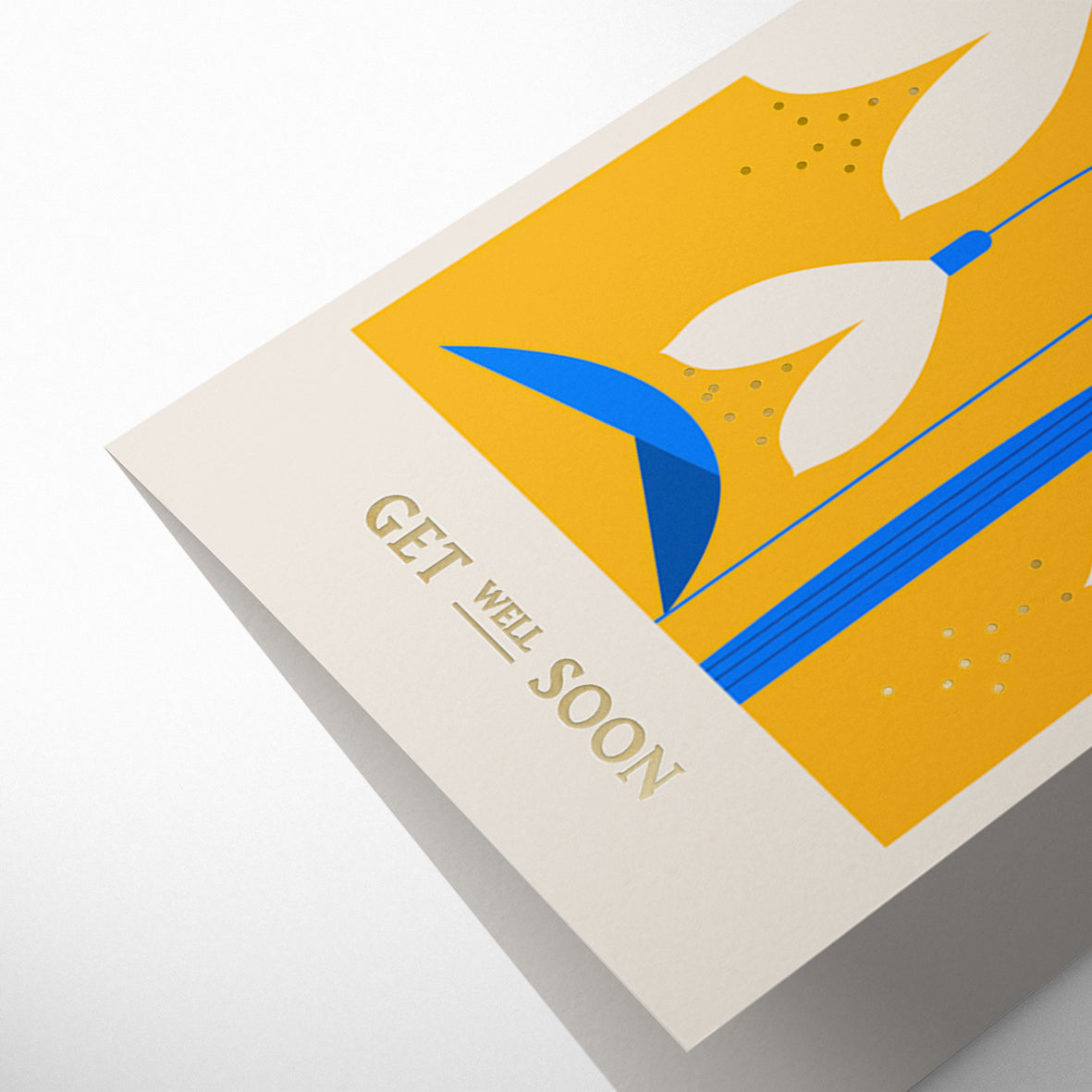 COLUMBIA ROAD: SNOWDROP GET WELL SOON