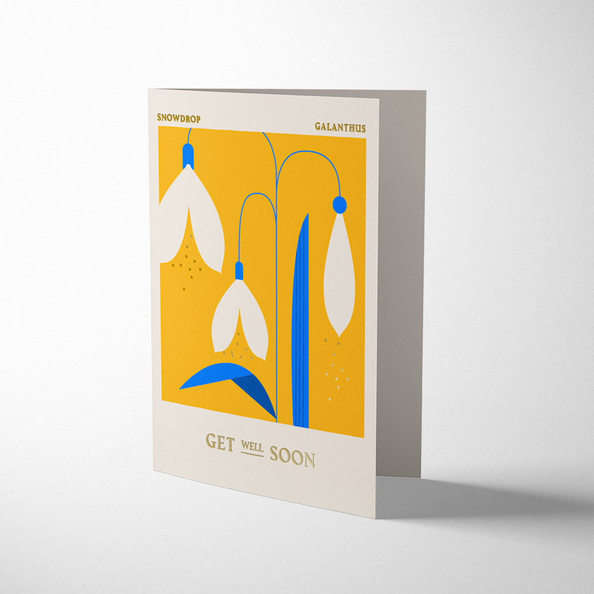 COLUMBIA ROAD: SNOWDROP GET WELL SOON