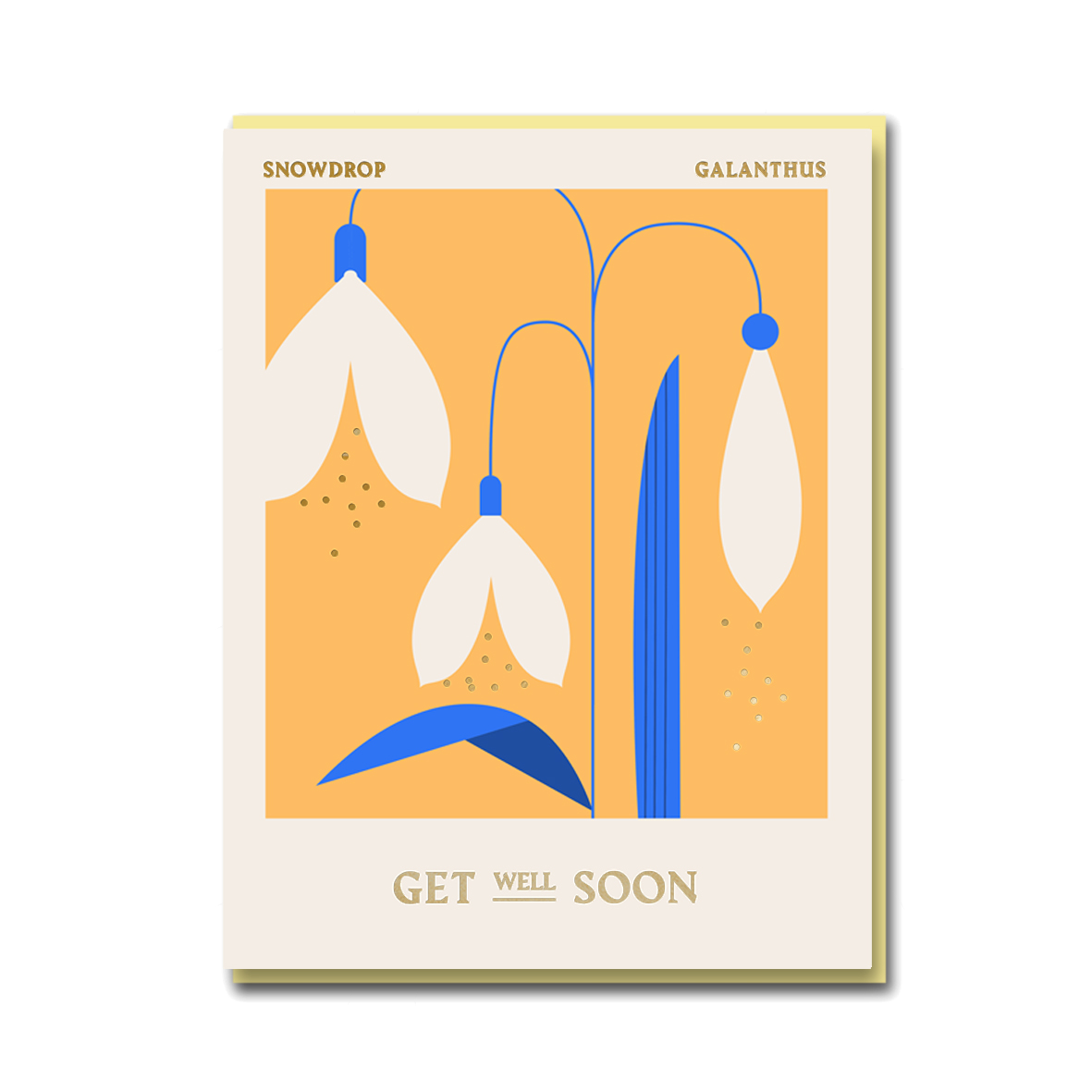 COLUMBIA ROAD: SNOWDROP GET WELL SOON