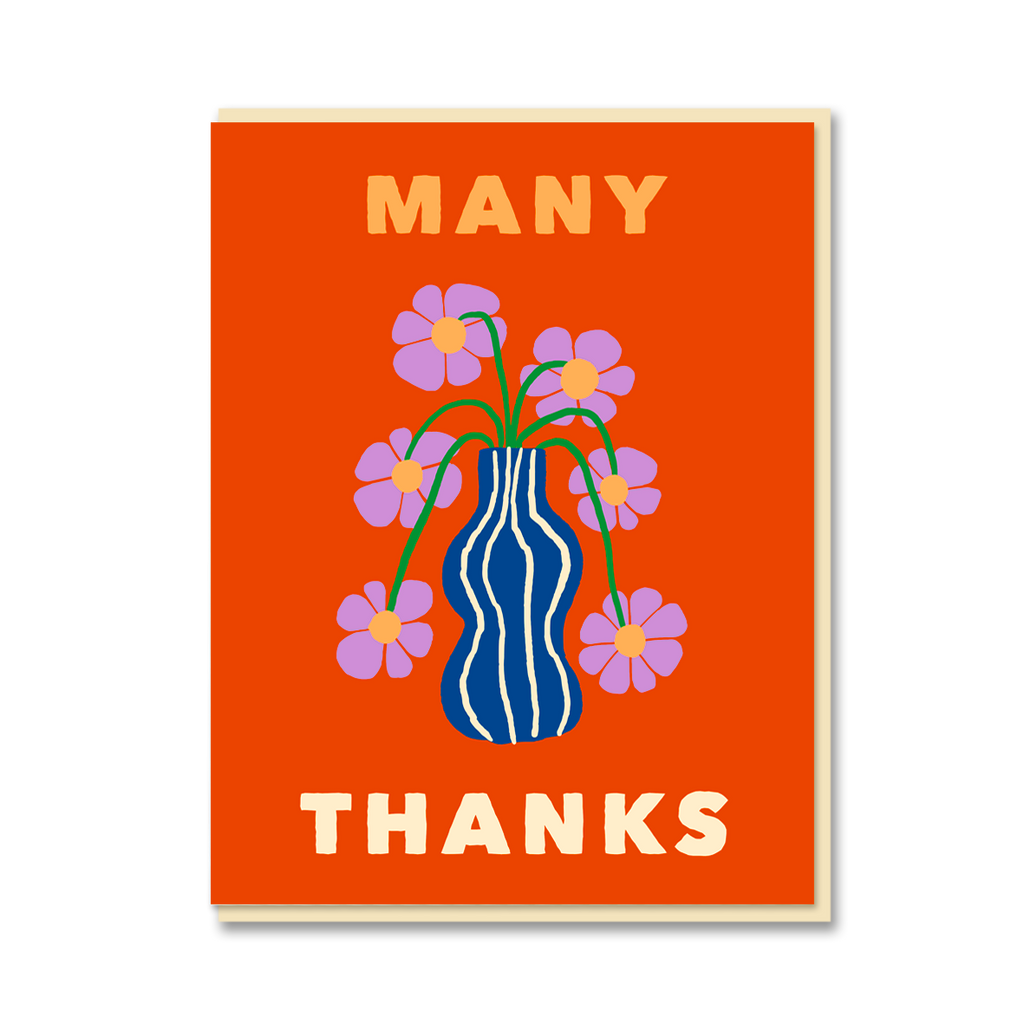 AFRICAN DAISY MANY THANKS