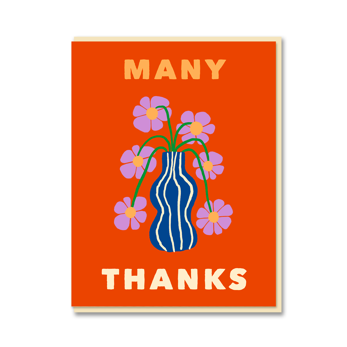 AFRICAN DAISY MANY THANKS