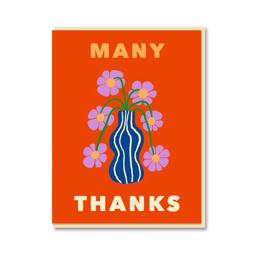 AFRICAN DAISY MANY THANKS