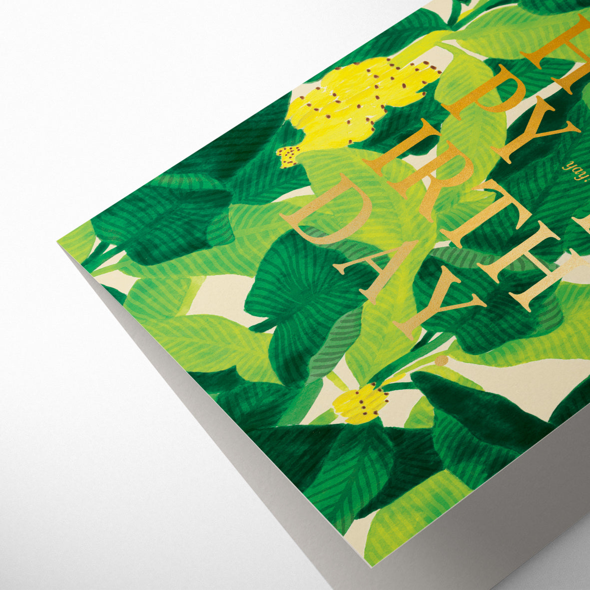 BEVERLY HILLS BIRTHDAY