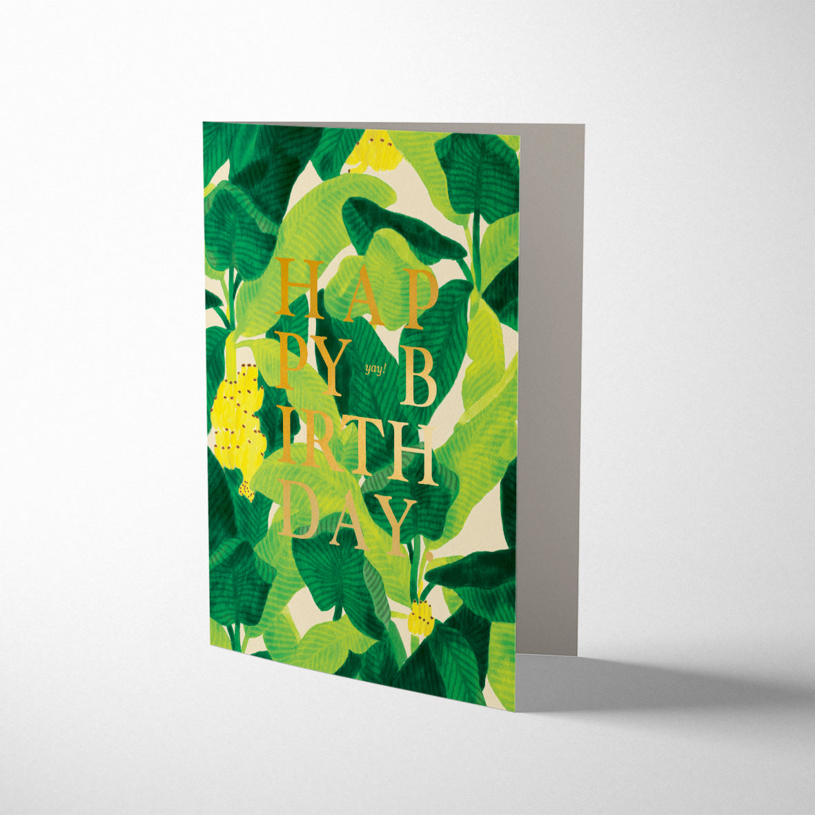 BEVERLY HILLS BIRTHDAY