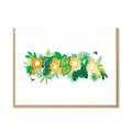 PAPA PLANTS