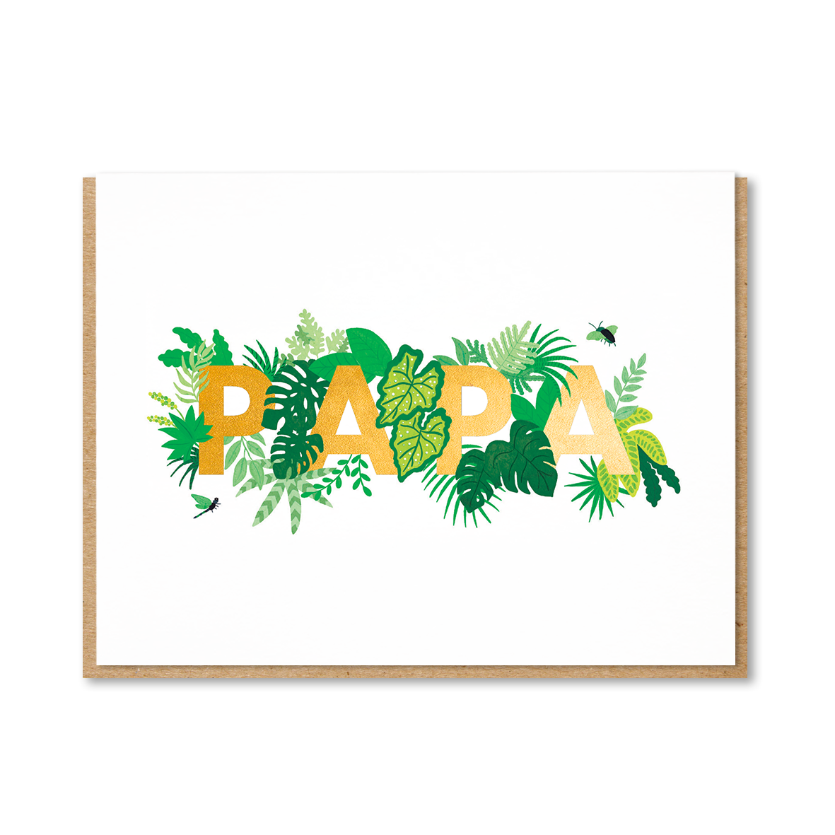PAPA PLANTS