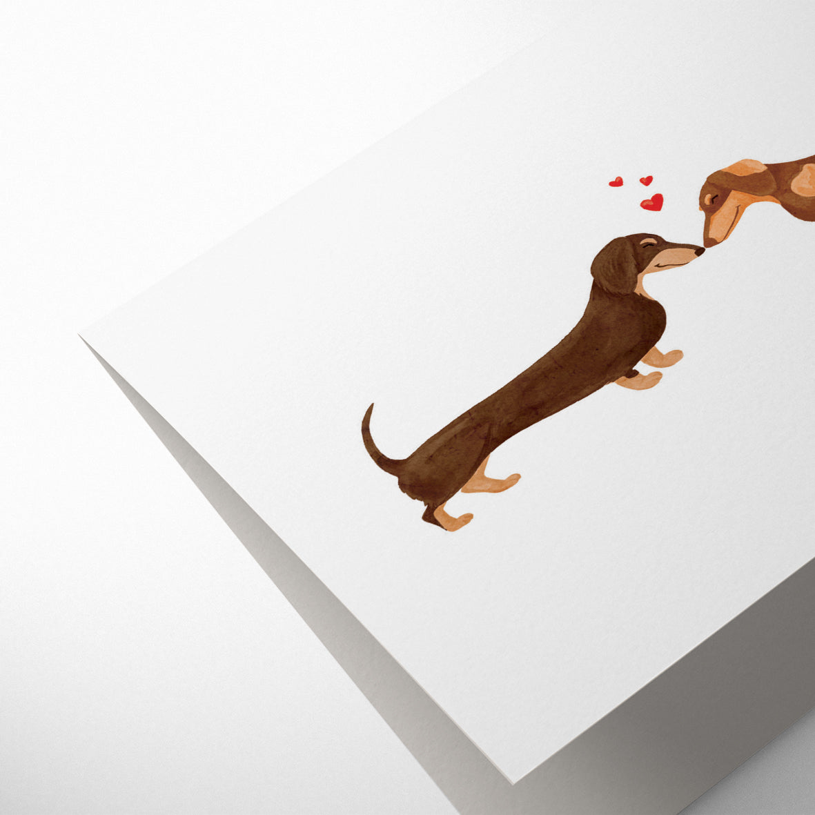 DACHSHUNDS LOVERS