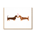 DACHSHUNDS LOVERS