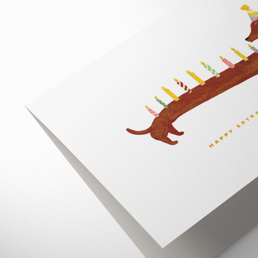 DACHSHUNDS EXTRA BIRTHDAY