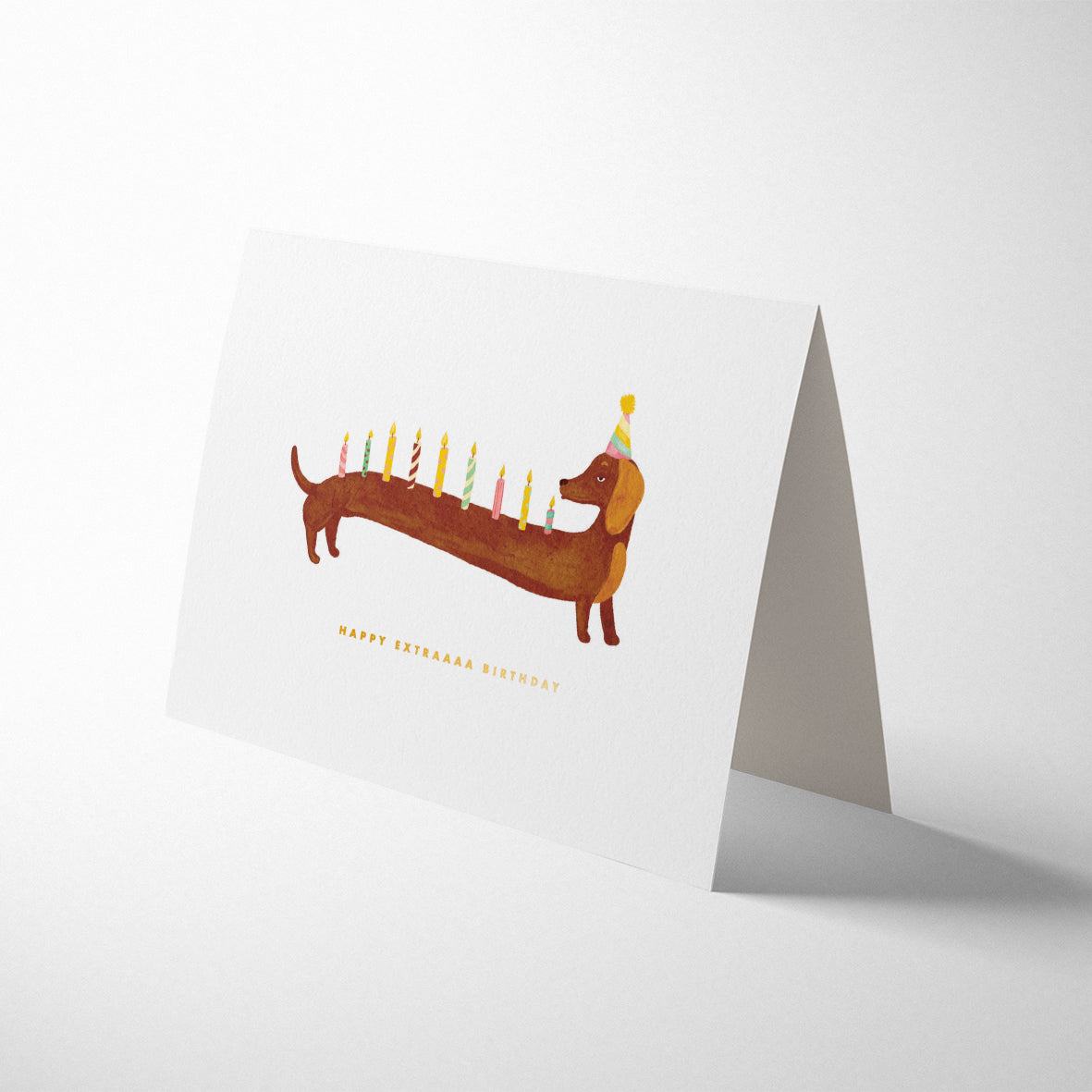 DACHSHUNDS EXTRA BIRTHDAY