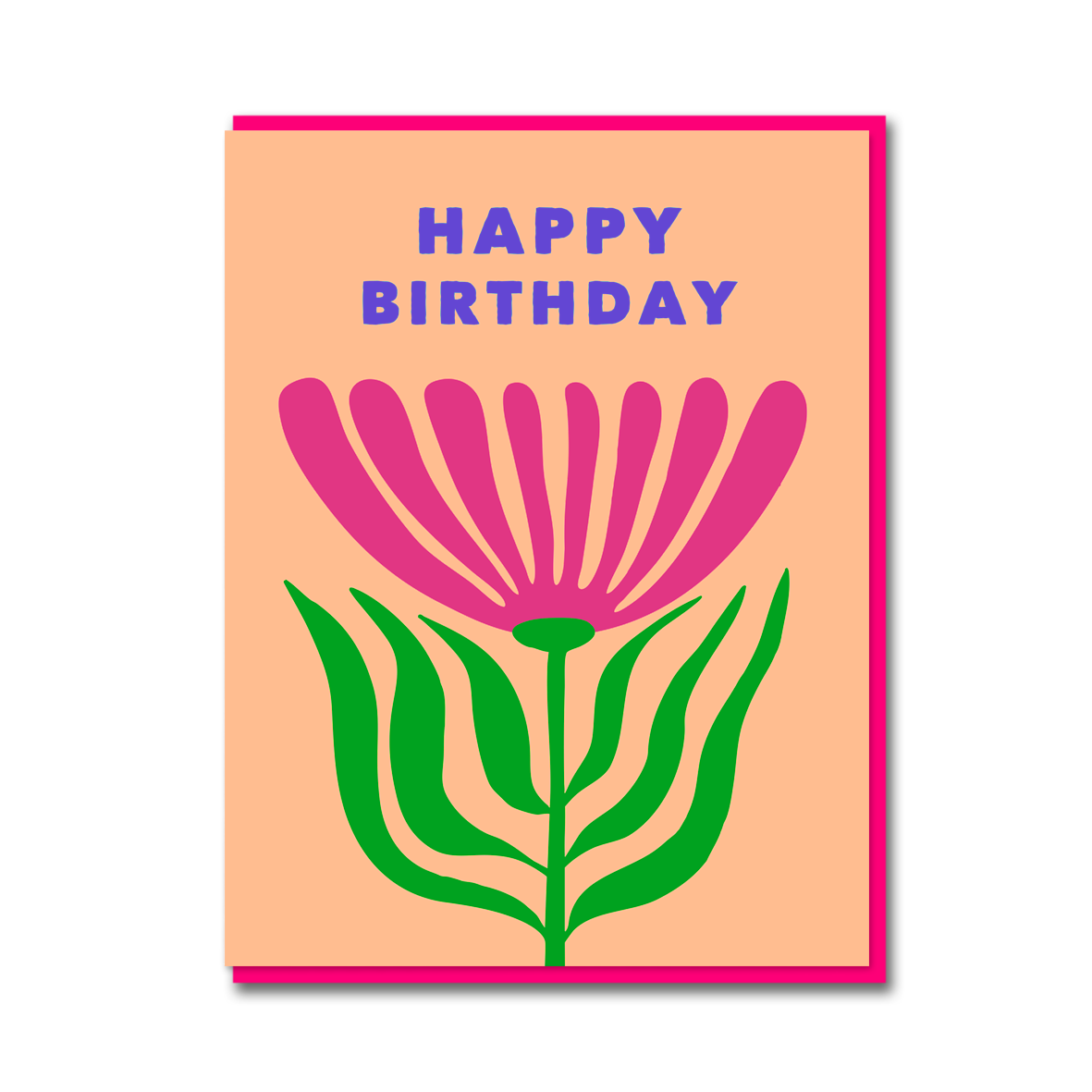 BARBERTON DAISY BIRTHDAY
