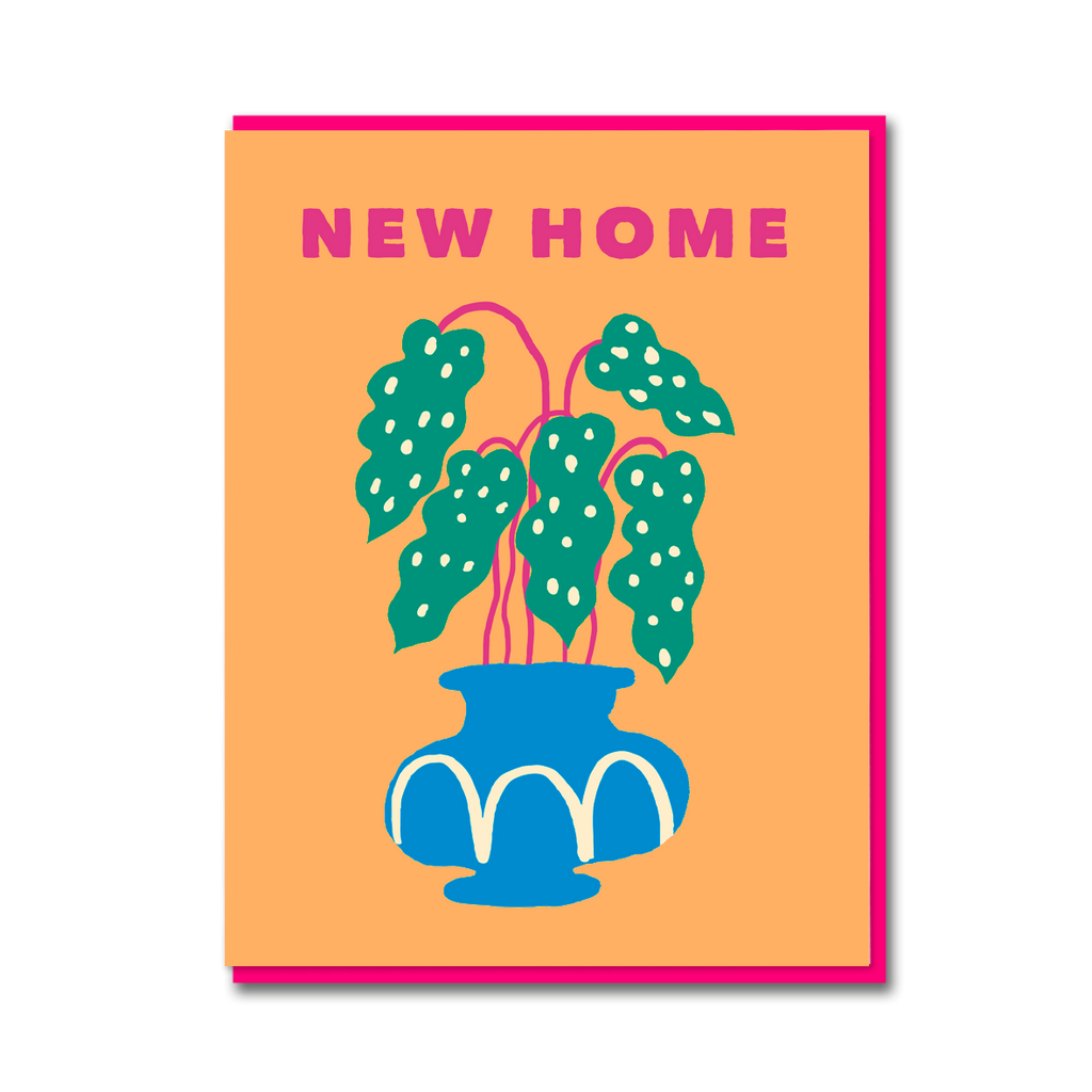 BEGONIA NEW HOME