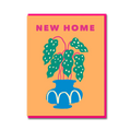 BEGONIA NEW HOME
