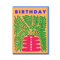 BOSTON FERN BIRTHDAY WISHES