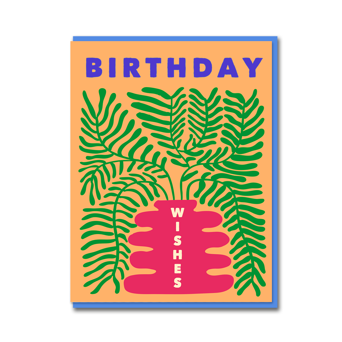 BOSTON FERN BIRTHDAY WISHES