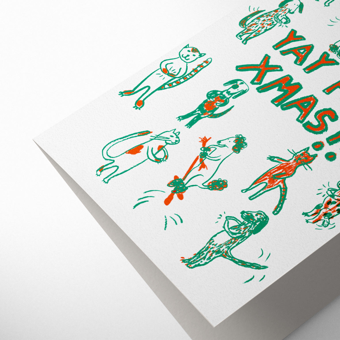 YAY FOR CHRISTMAS ANIMAL PARTY