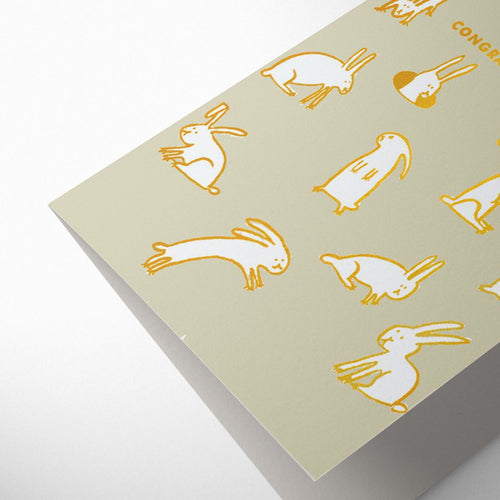 BABY RABBITS MULTIPLYING