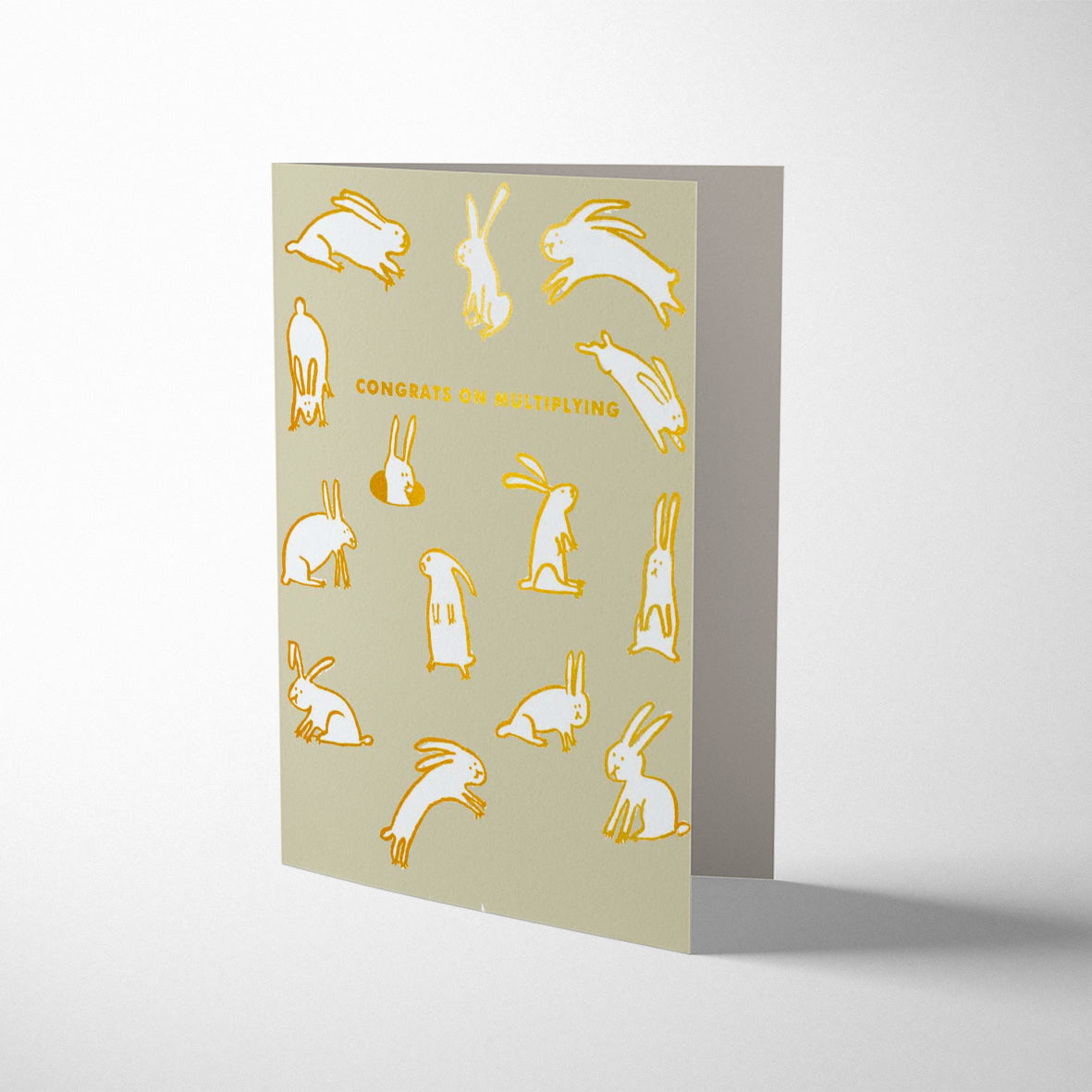 BABY RABBITS MULTIPLYING