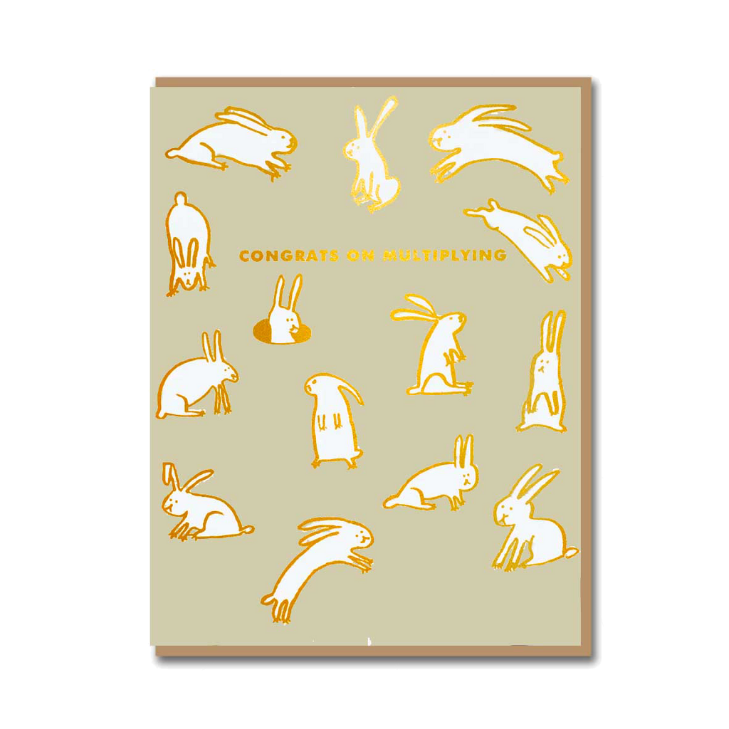 BABY RABBITS MULTIPLYING