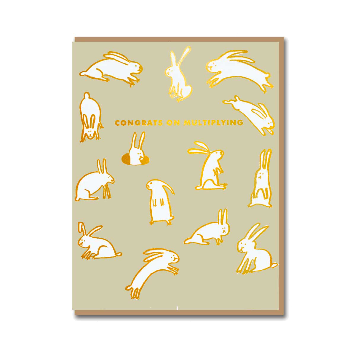 BABY RABBITS MULTIPLYING