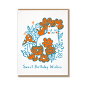 SWEET BDAY CAT