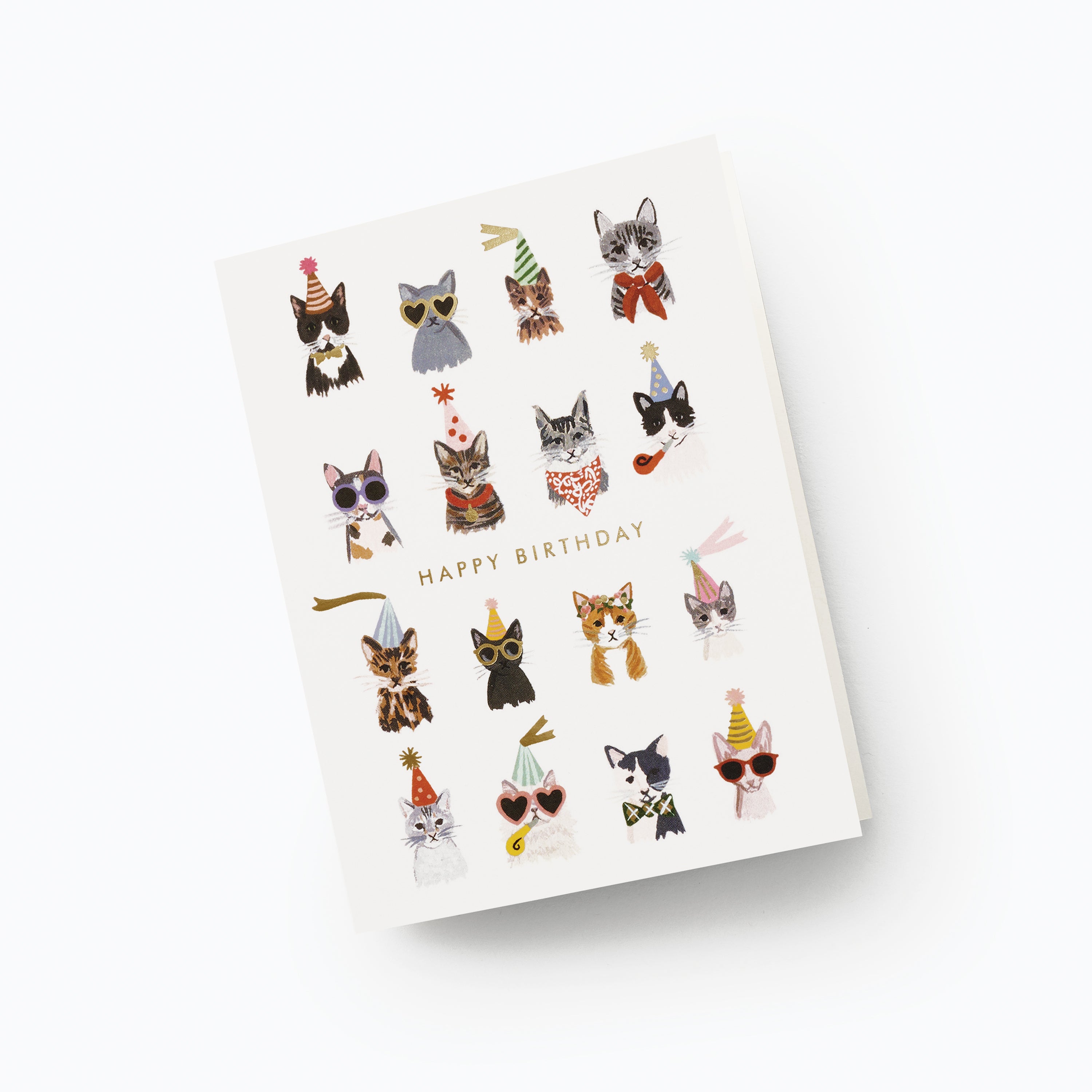 COOL CATS