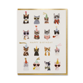 COOL CATS